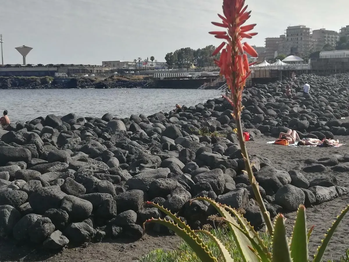 Appartamento Sabbia Dell' Etna Catania Apartamento